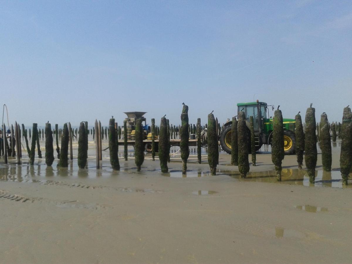 Le Grand Large Apartment Berck
